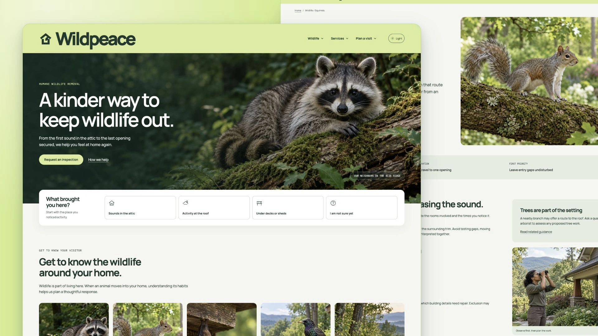 Wildpeace - Humane Wildlife Removal HTML Website Template