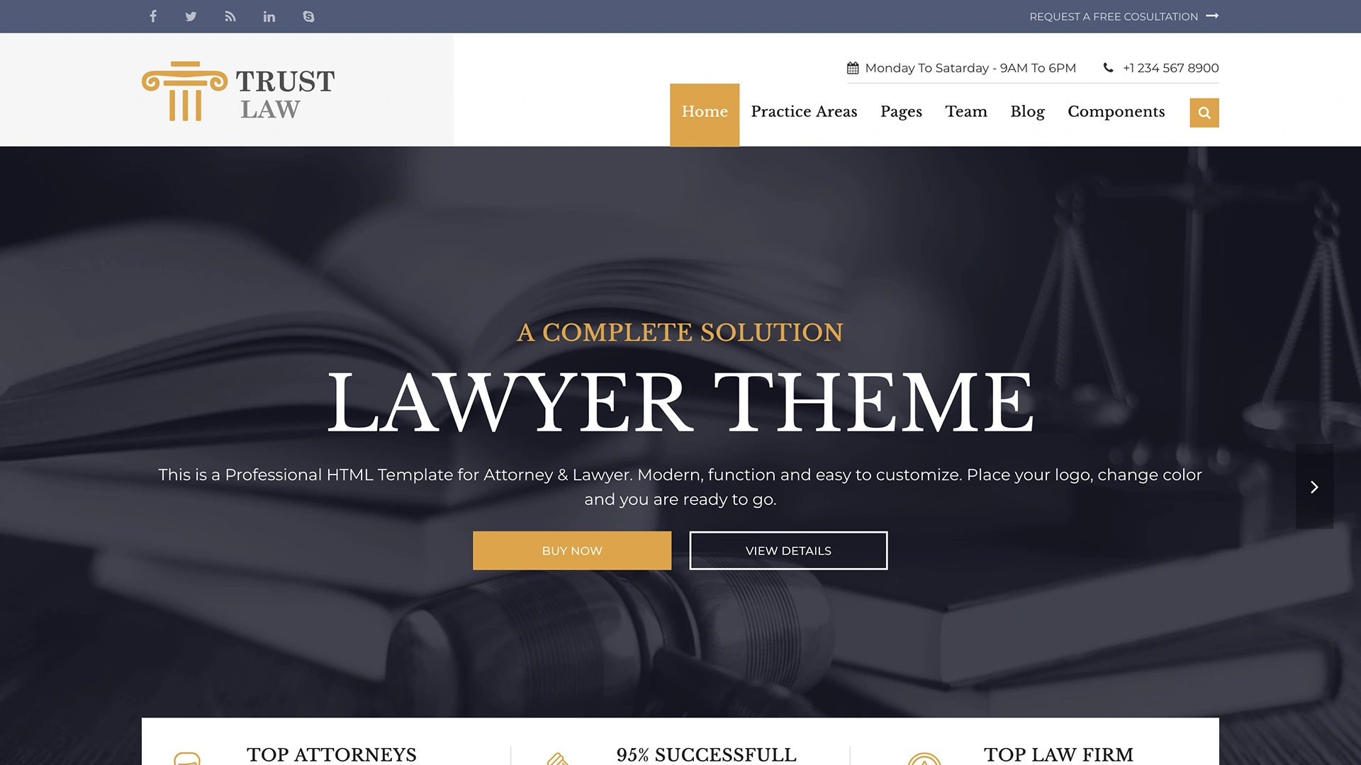 Trust - Modern Lawyer Attorney Template
