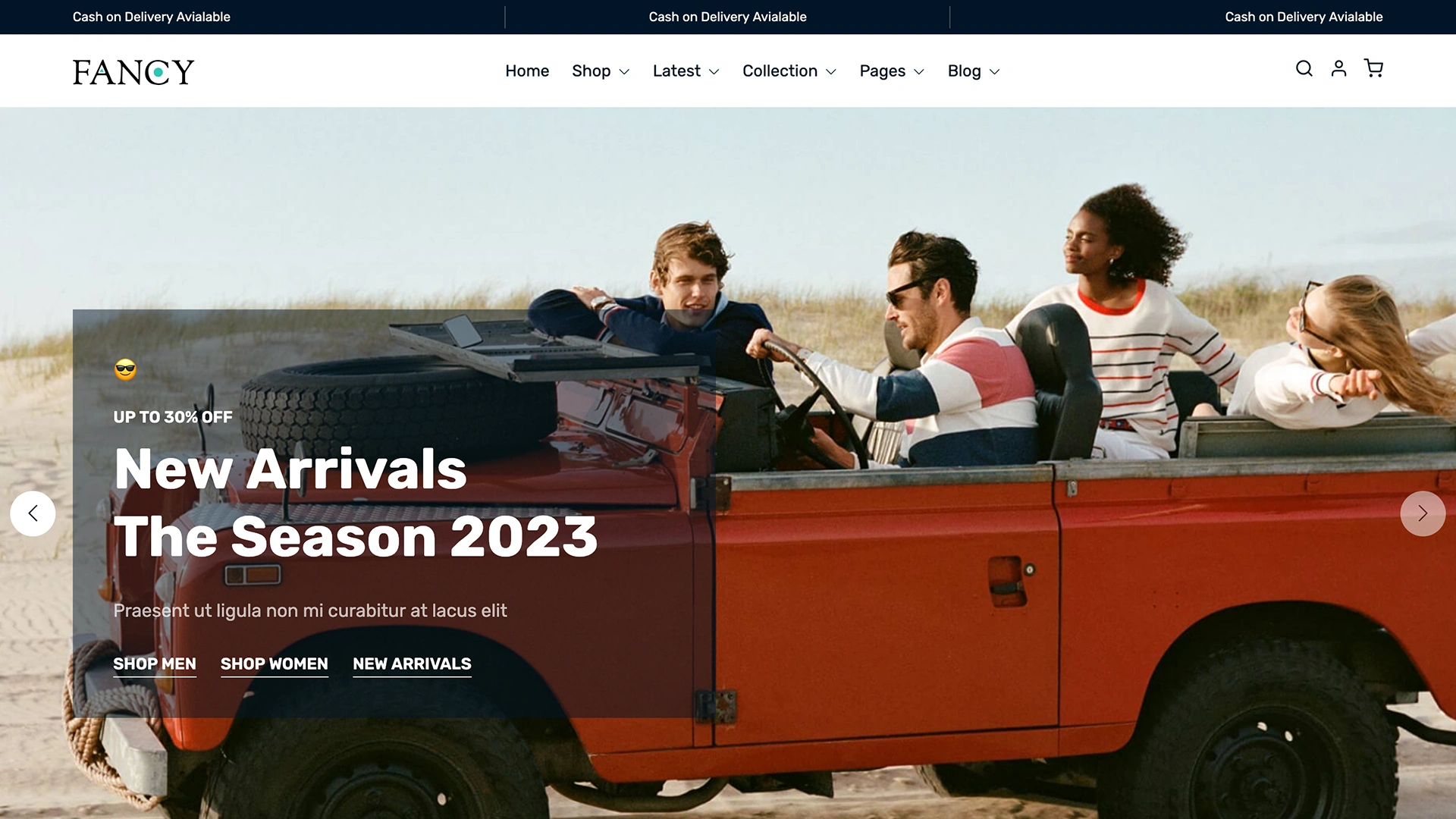 Fancy - eCommerce Template