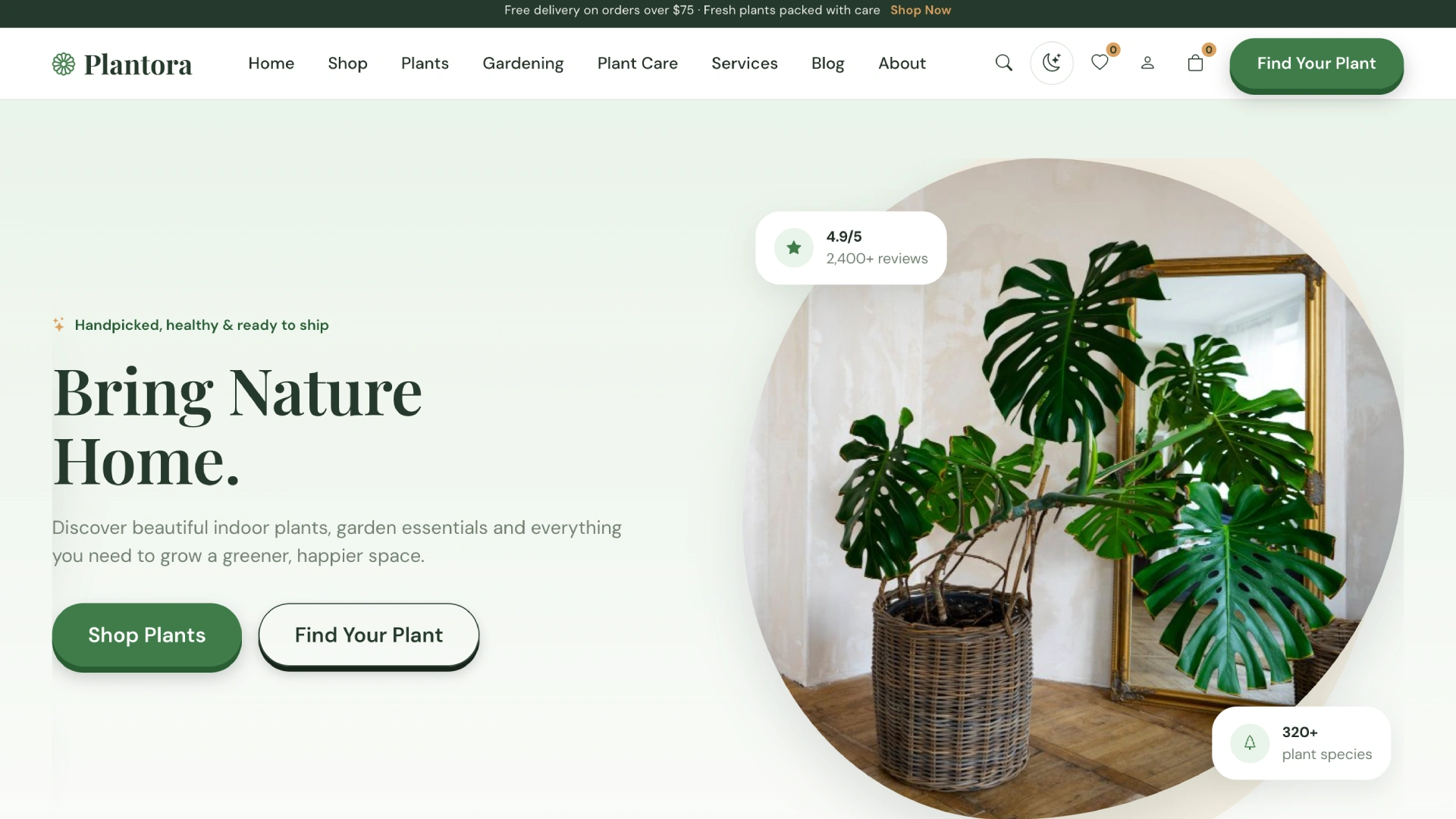 Plantora - Plant Store and Gardening Shop HTML Template