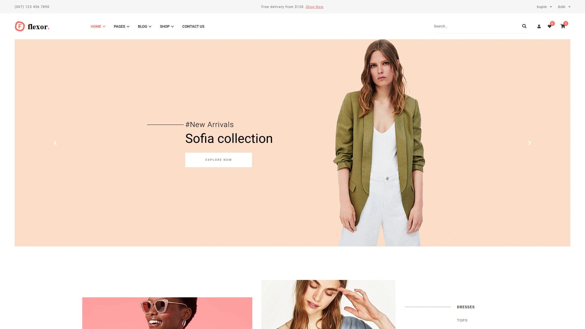 Flexor - eCommerce HTML Template