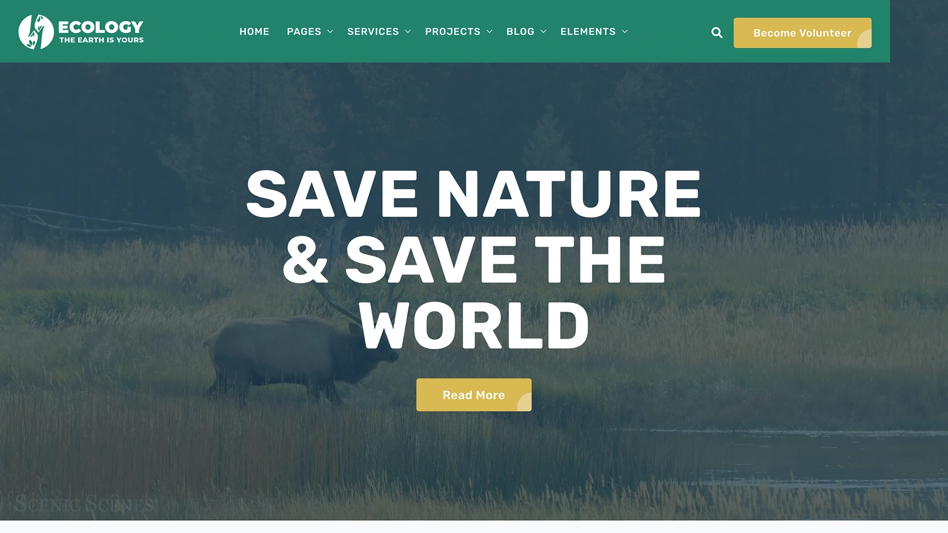 EcologyPro - Environment & Ecology Template