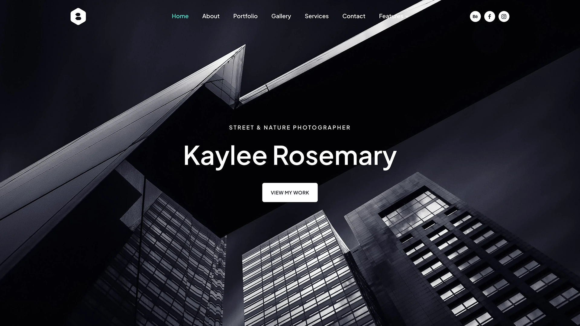 Locus - Photography One Page Template