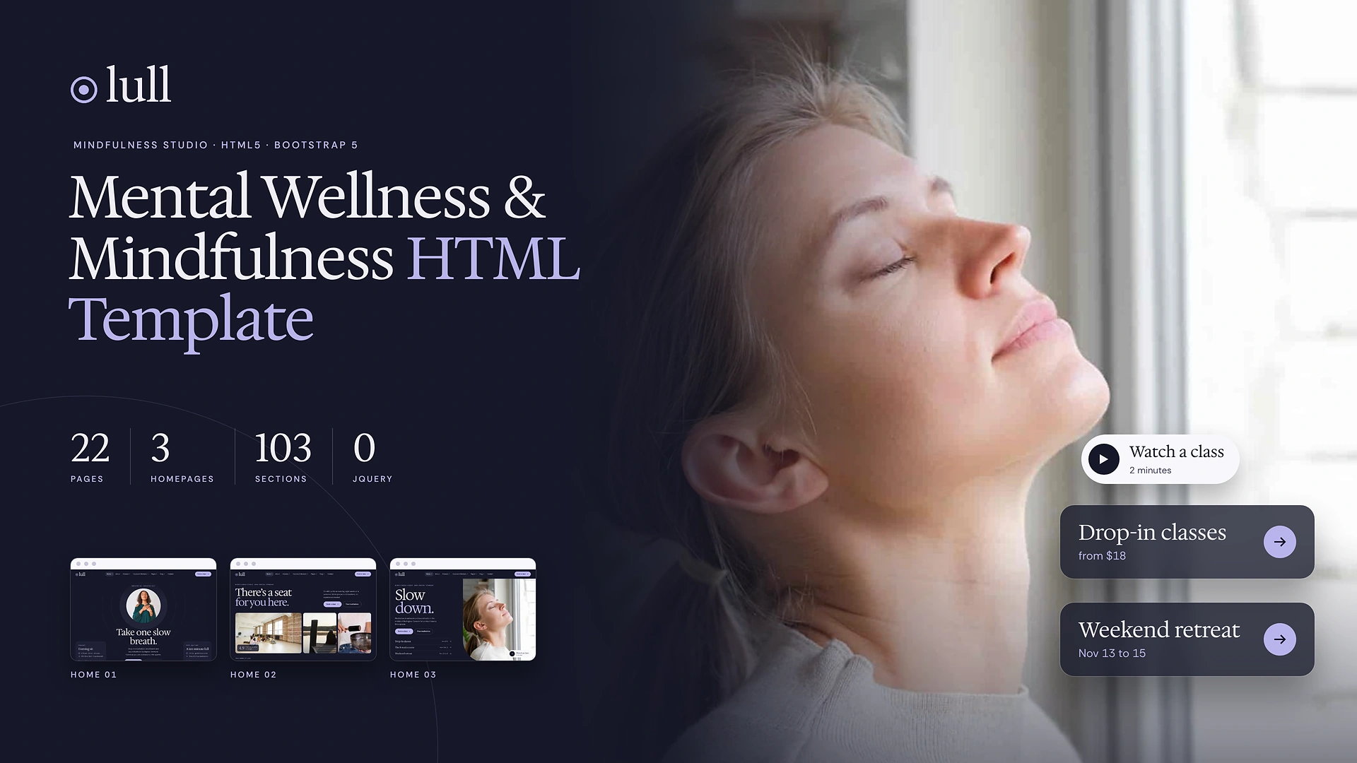 Lull - Mental Wellness & Mindfulness HTML Template