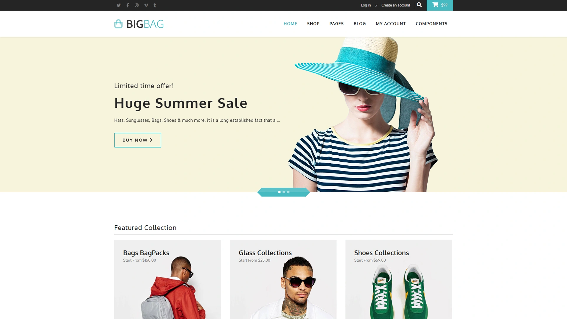 BigBag Store - Elegant Ecommerce Template