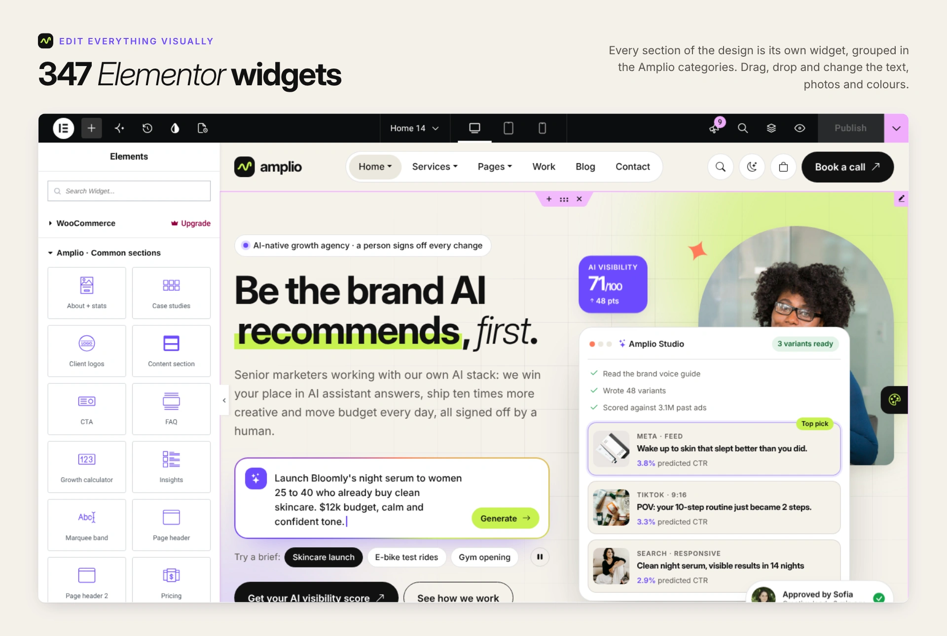 Amplio - Digital Marketing Agency WordPress Theme (Screenshot 1 of 66)