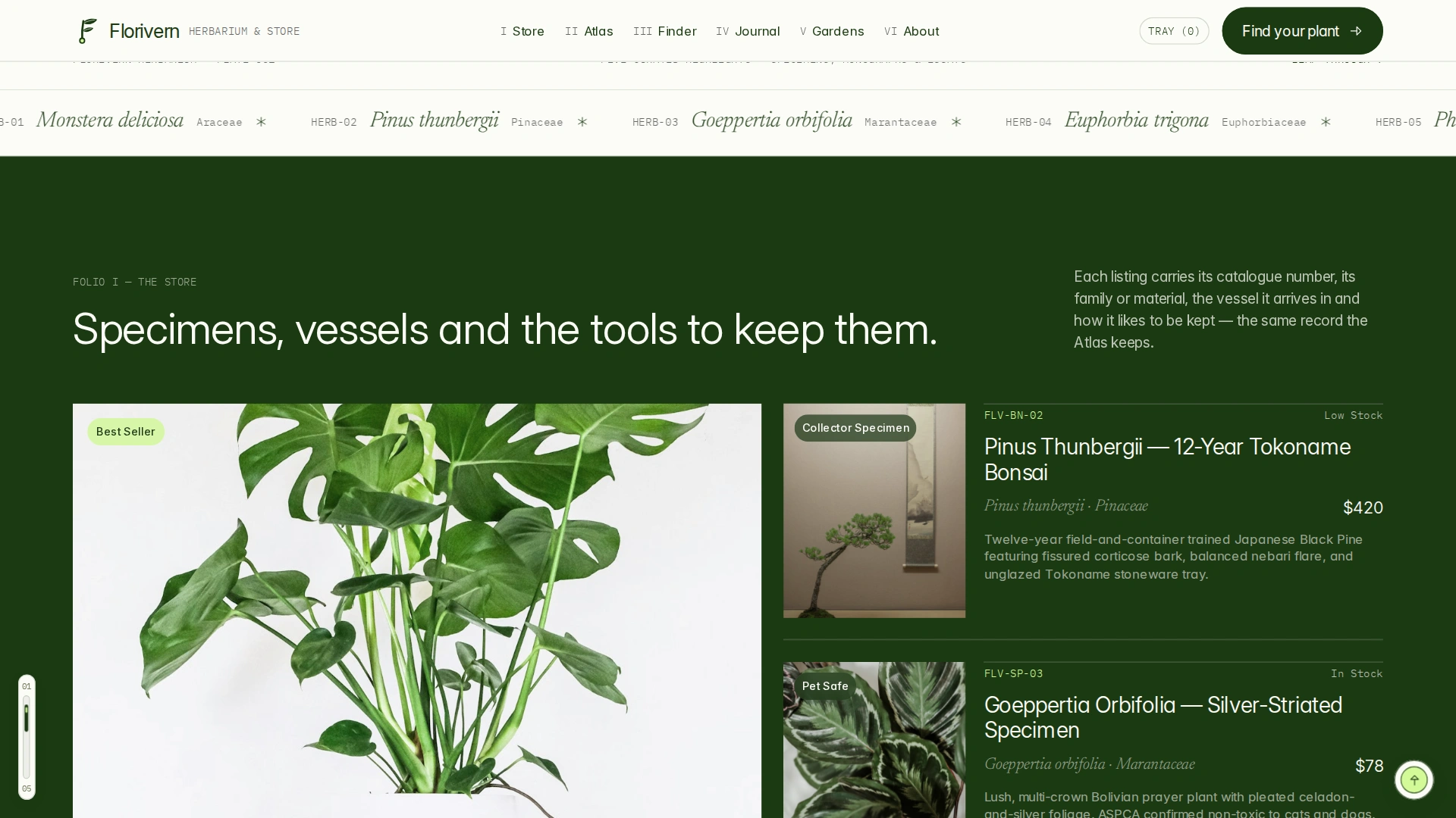 Florivern - Botanical Storefront, Plant Shop & Herbarium Framer Template (Screenshot 2 of 20)