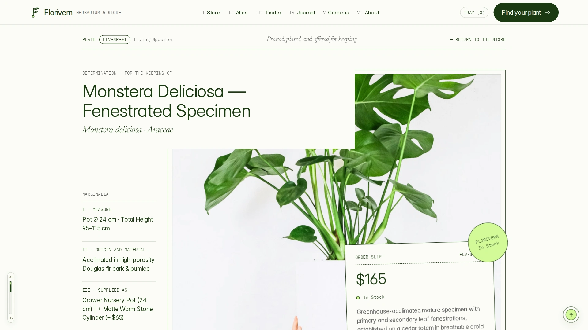 Florivern - Botanical Storefront, Plant Shop & Herbarium Framer Template (Screenshot 6 of 20)