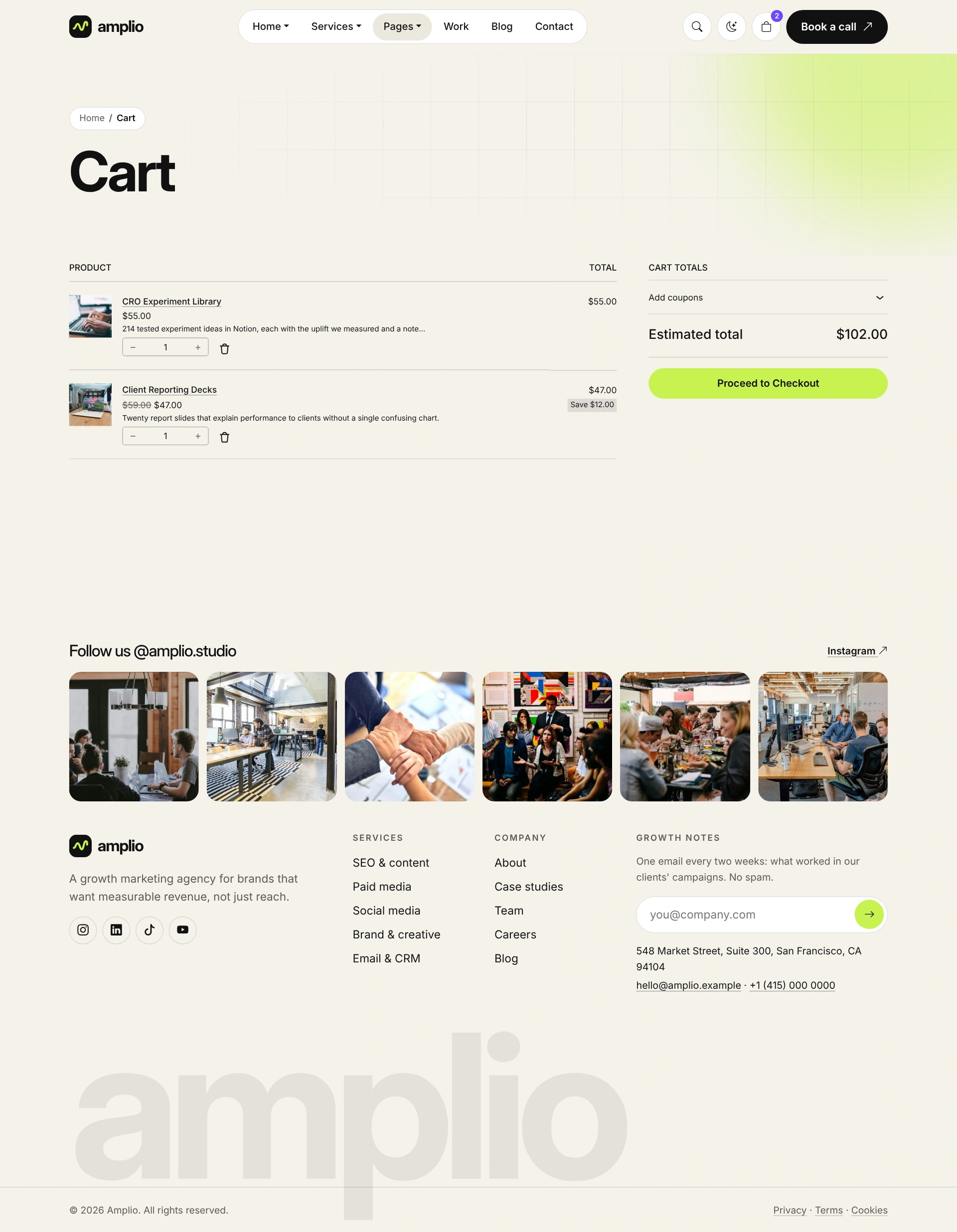 Amplio - Digital Marketing Agency WordPress Theme (Screenshot 53 of 66)