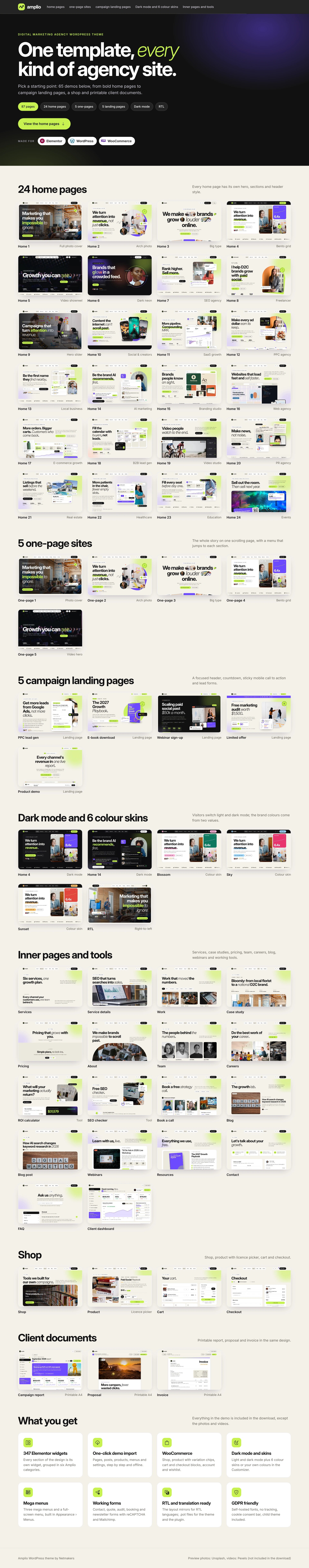 Amplio - Digital Marketing Agency WordPress Theme (Screenshot 13 of 66)