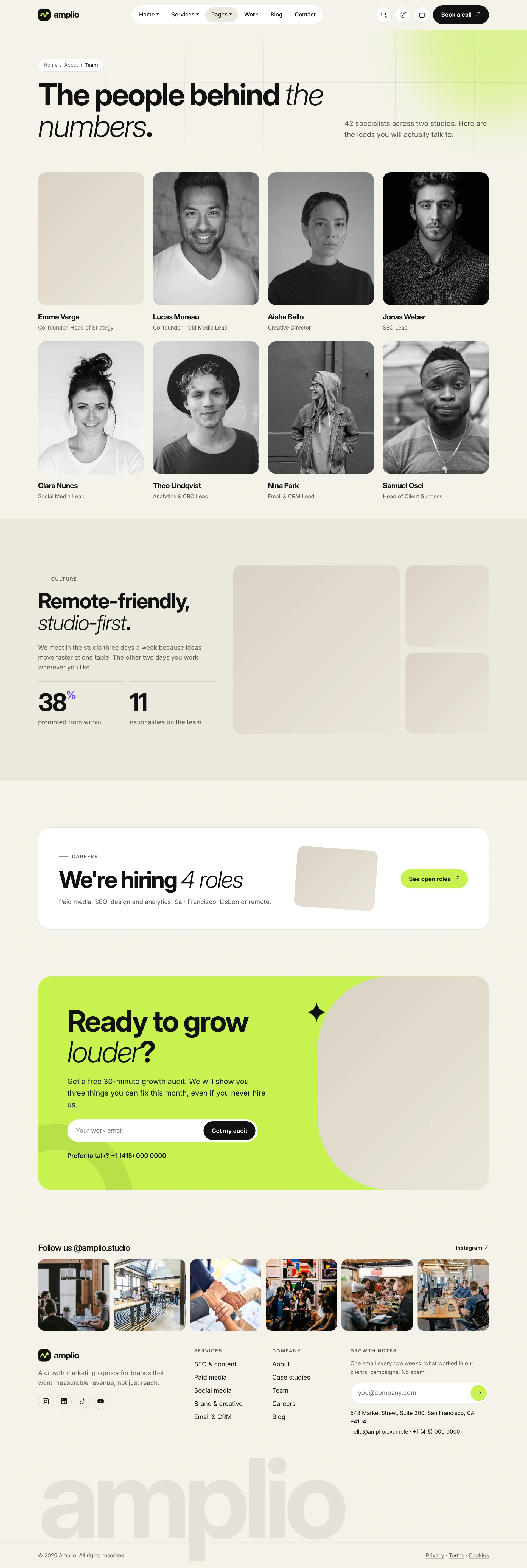 Amplio - Digital Marketing Agency WordPress Theme (Screenshot 46 of 66)