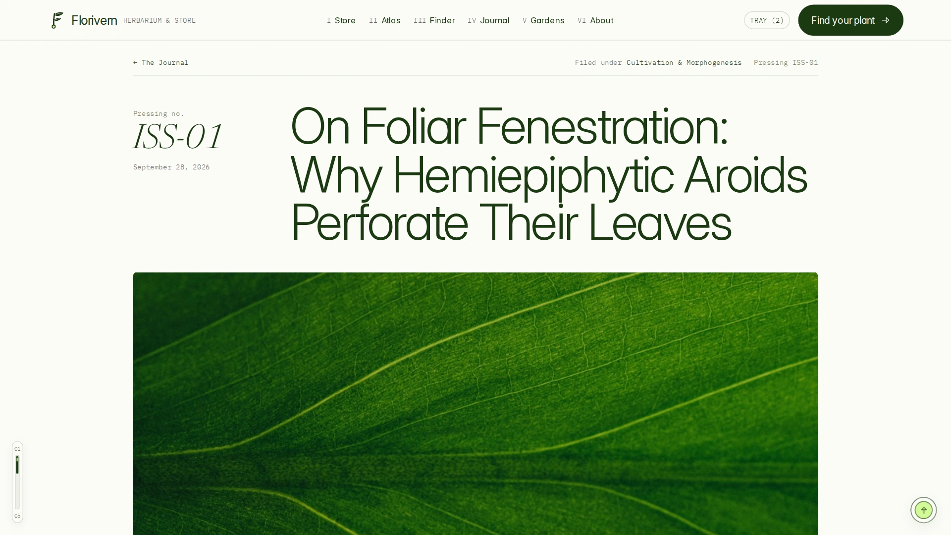 Florivern - Botanical Storefront, Plant Shop & Herbarium Framer Template (Screenshot 17 of 20)