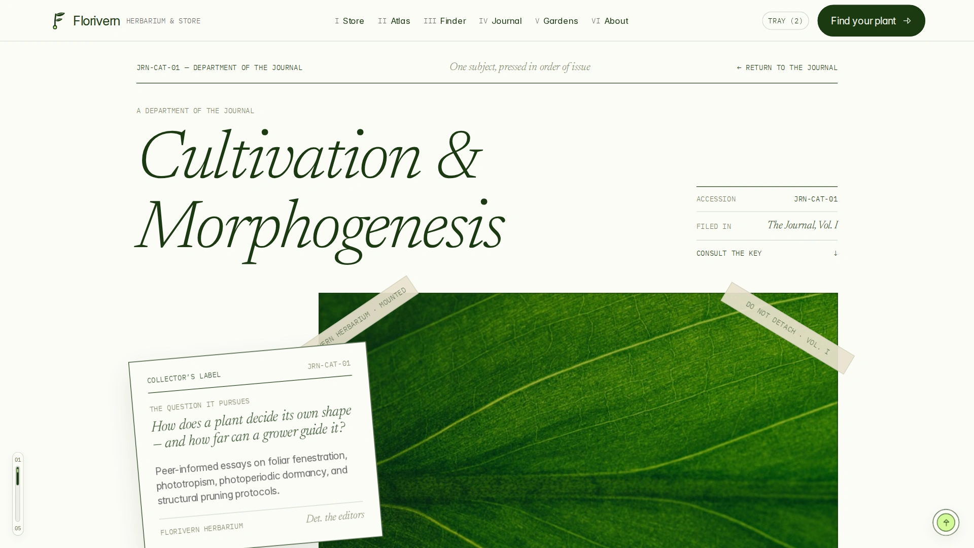 Florivern - Botanical Storefront, Plant Shop & Herbarium Framer Template (Screenshot 16 of 20)