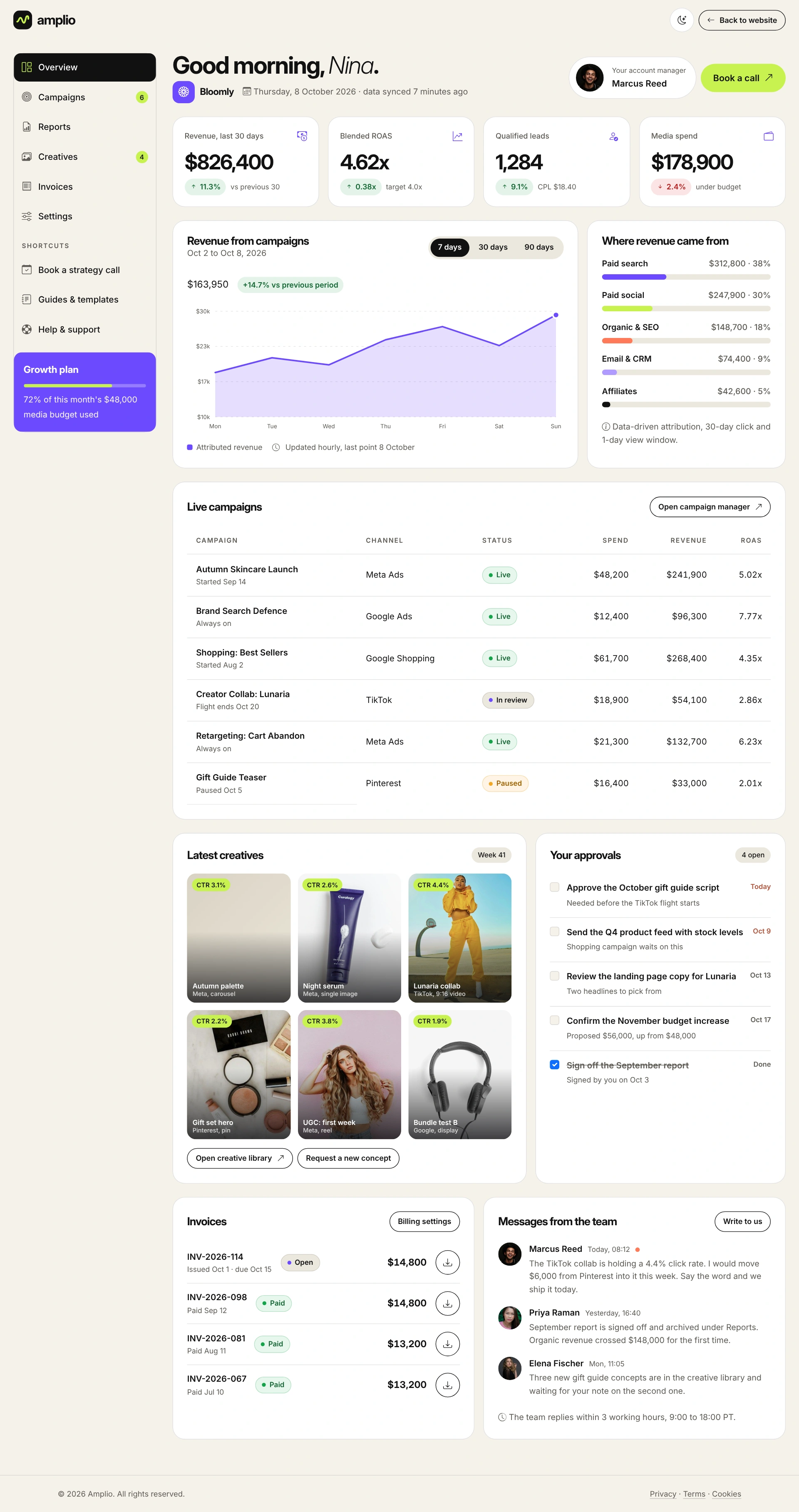 Amplio - Digital Marketing Agency WordPress Theme (Screenshot 56 of 66)
