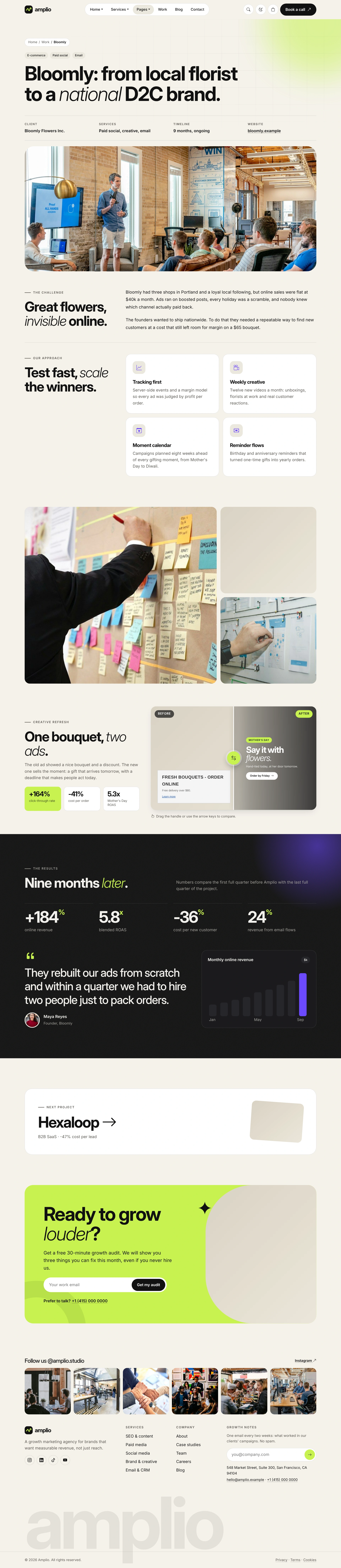 Amplio - Digital Marketing Agency WordPress Theme (Screenshot 43 of 66)