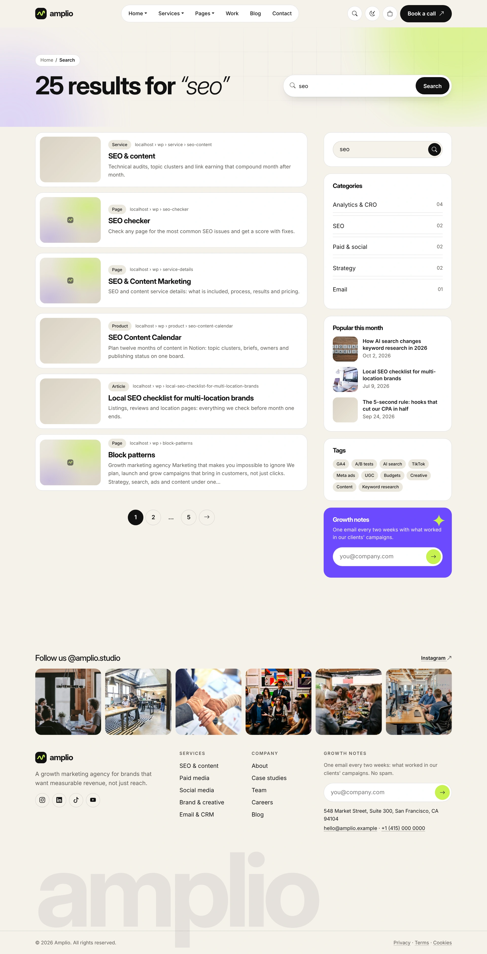 Amplio - Digital Marketing Agency WordPress Theme (Screenshot 61 of 66)