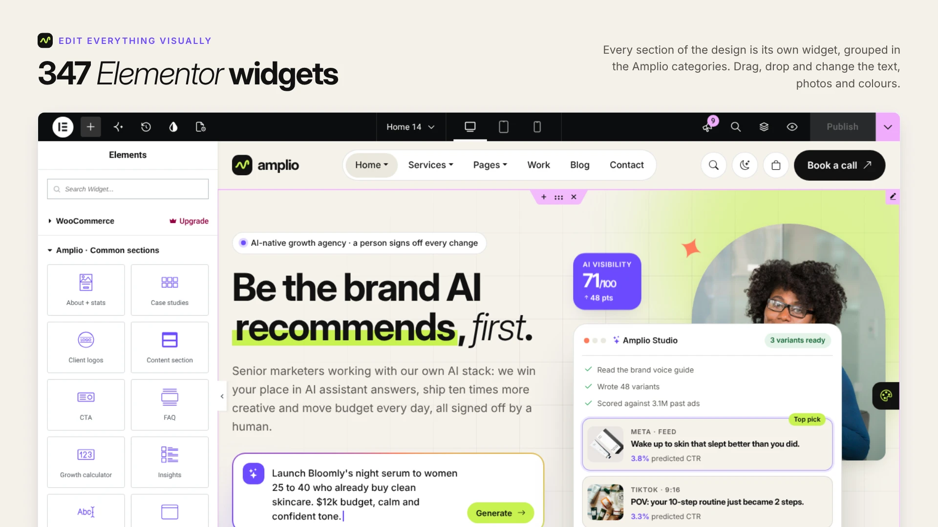 Amplio - Digital Marketing Agency WordPress Theme (Screenshot 1 of 66)