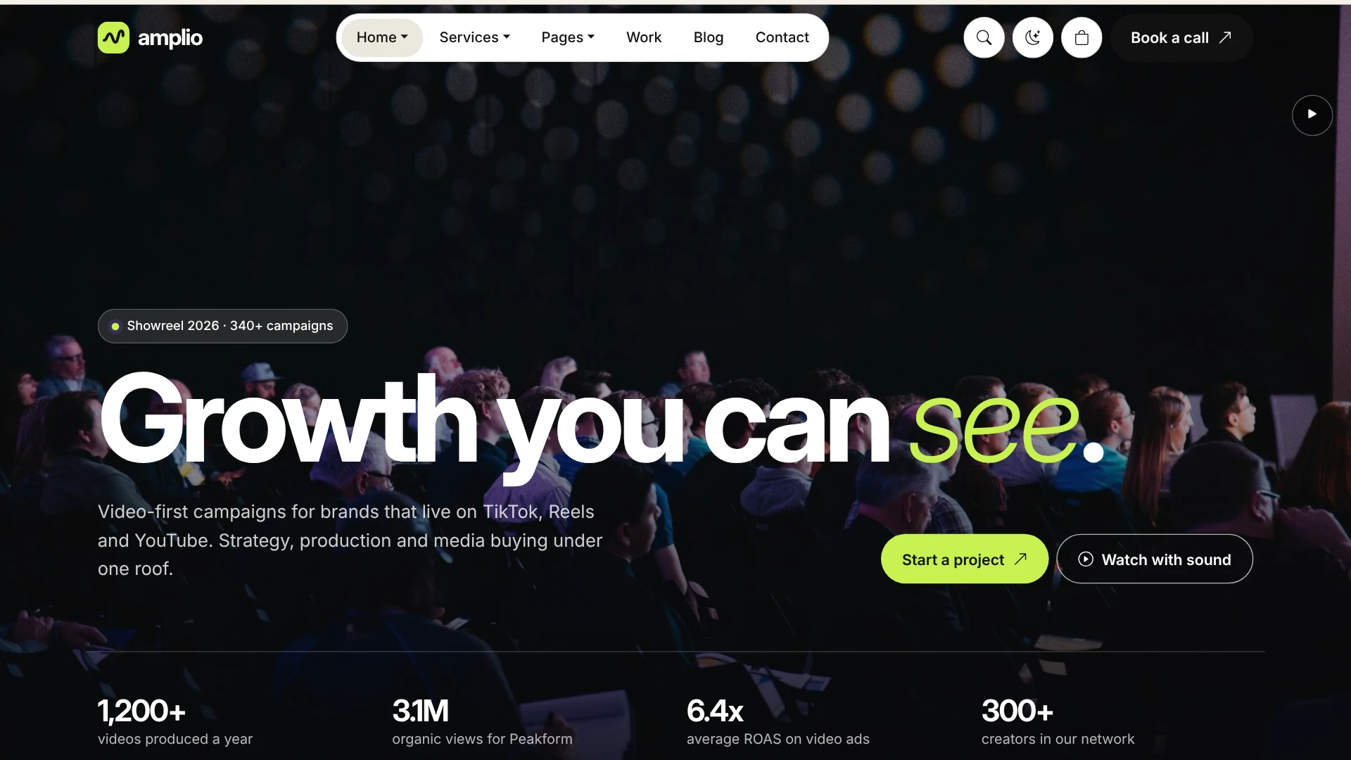 Amplio - Digital Marketing Agency WordPress Theme (Screenshot 17 of 66)
