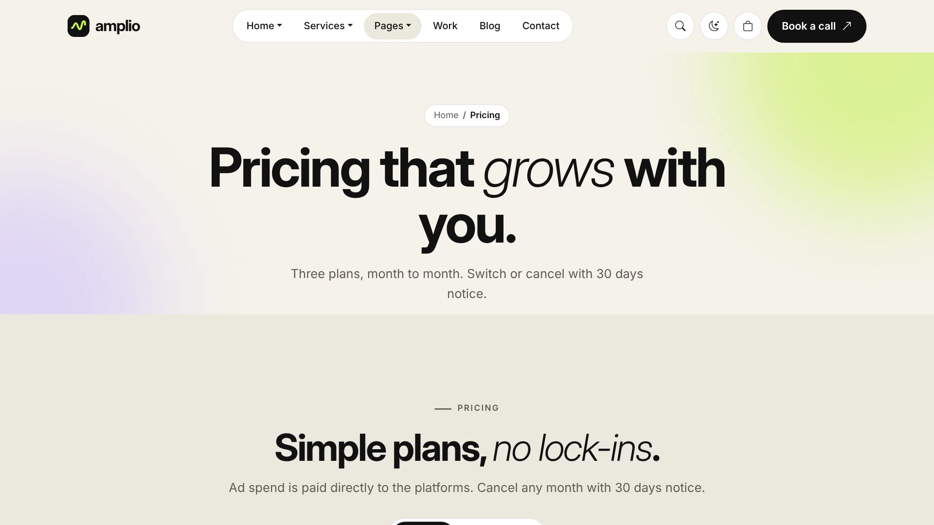 Amplio - Digital Marketing Agency WordPress Theme (Screenshot 44 of 66)