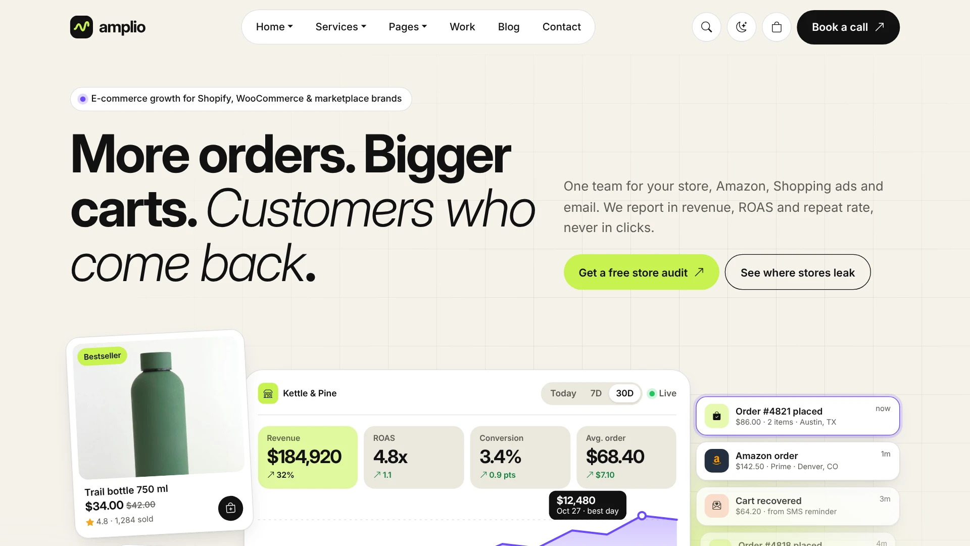 Amplio - Digital Marketing Agency WordPress Theme (Screenshot 26 of 66)
