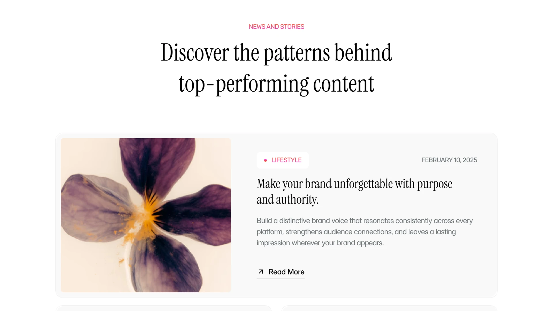 Inflouno - Next.js 16 Influencer Marketing and Creator Agency Template