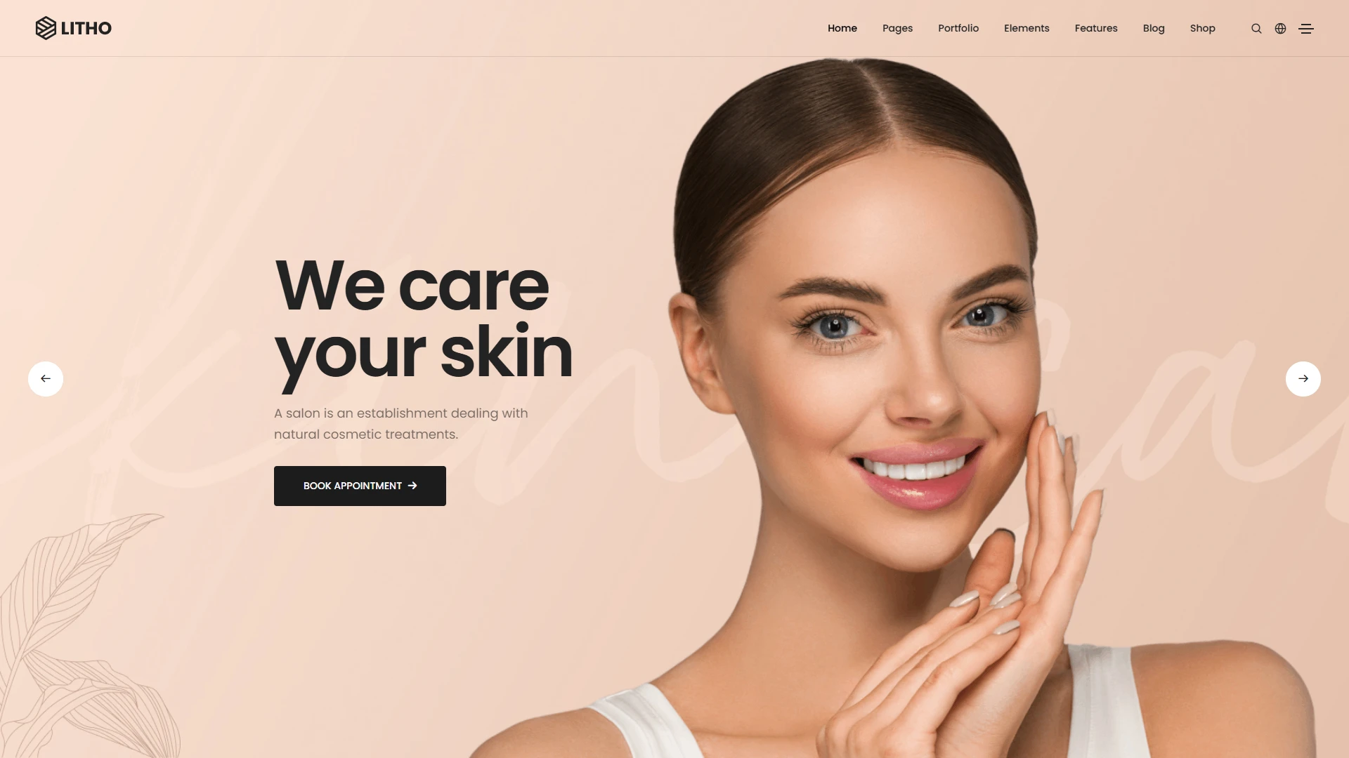 Litho - The Multipurpose HTML5 Template