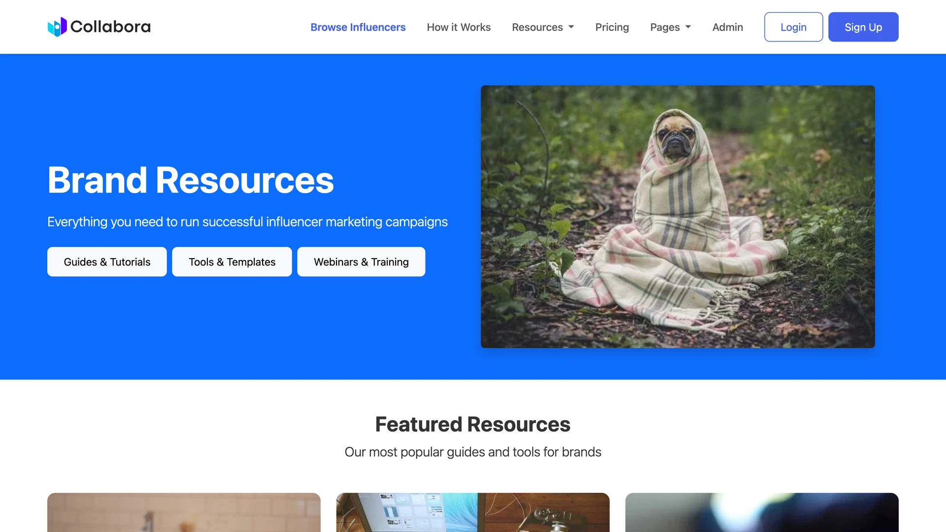 Collabora - Influencer-Brand Collaboration HTML Bootstrap Template with Admin