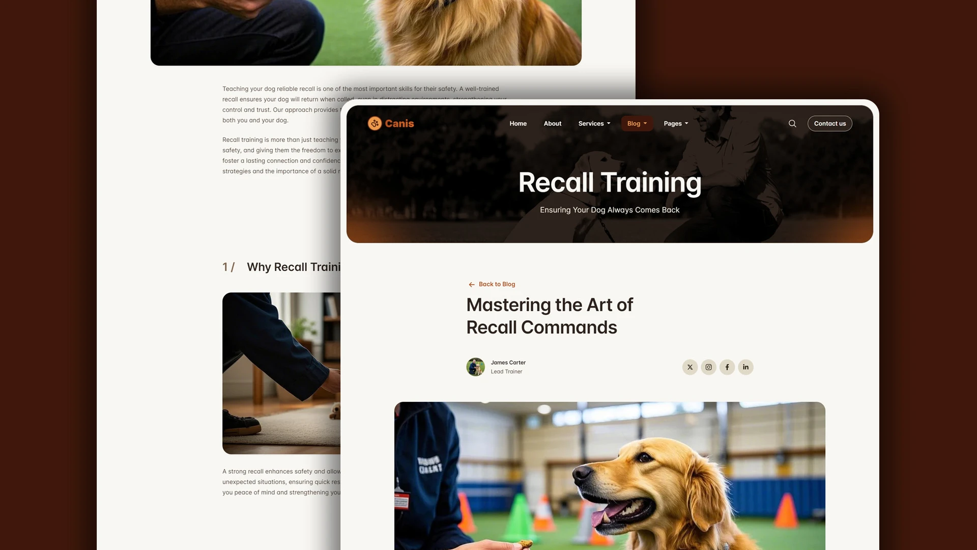 Canis - Professional Dog Training Services HTML Website Template