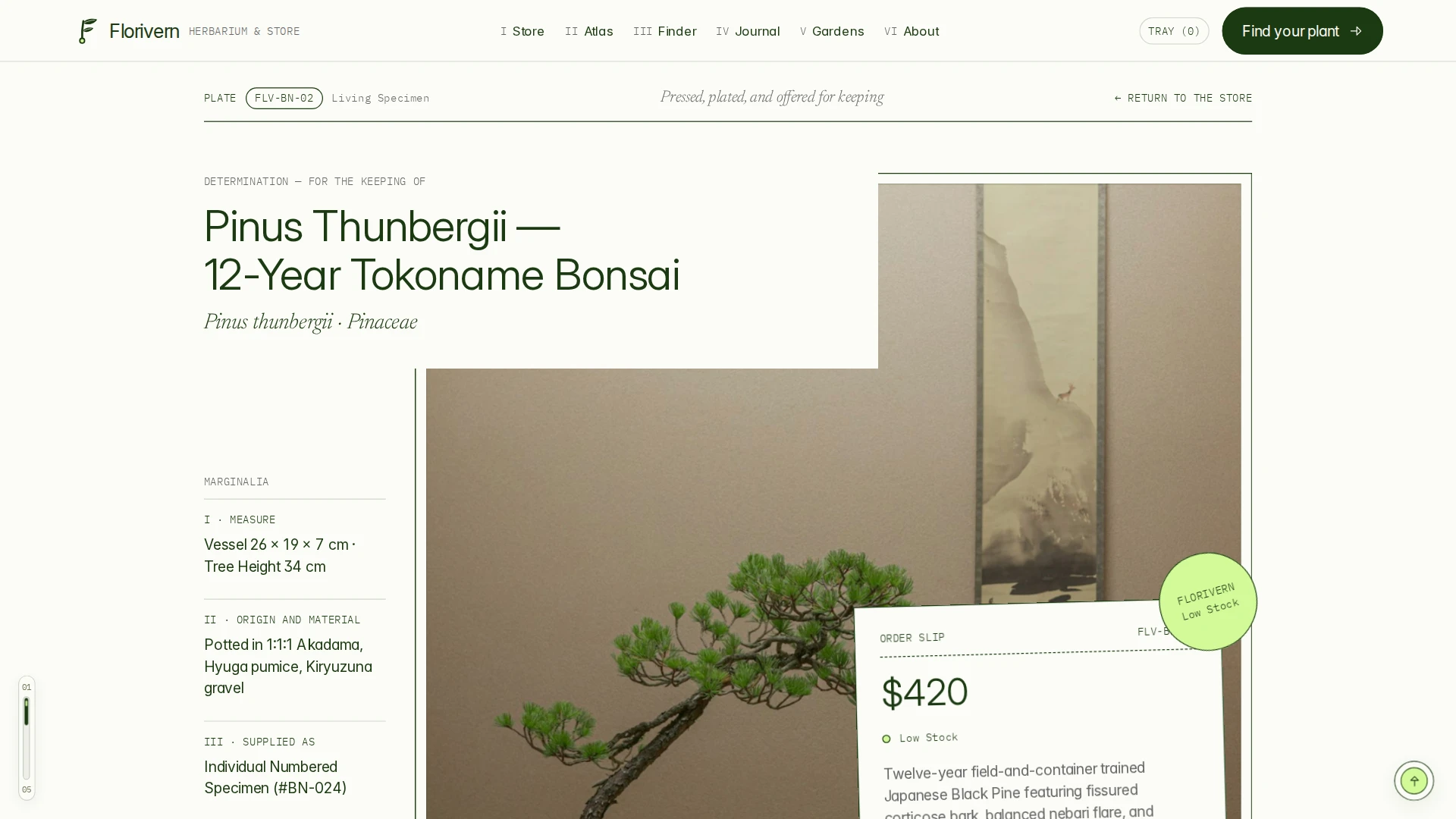 Florivern - Botanical Storefront, Plant Shop & Herbarium Framer Template (Screenshot 7 of 20)