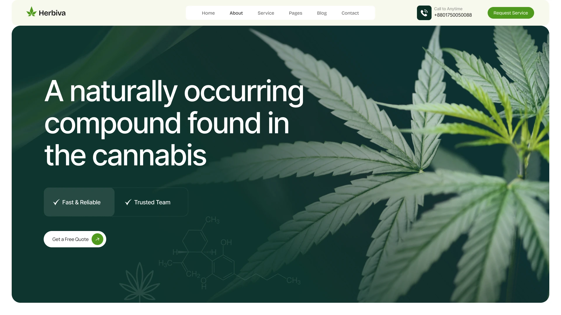 Herbiva - Cannabis & Marijuana Store Figma Template (Screenshot 1 of 1)