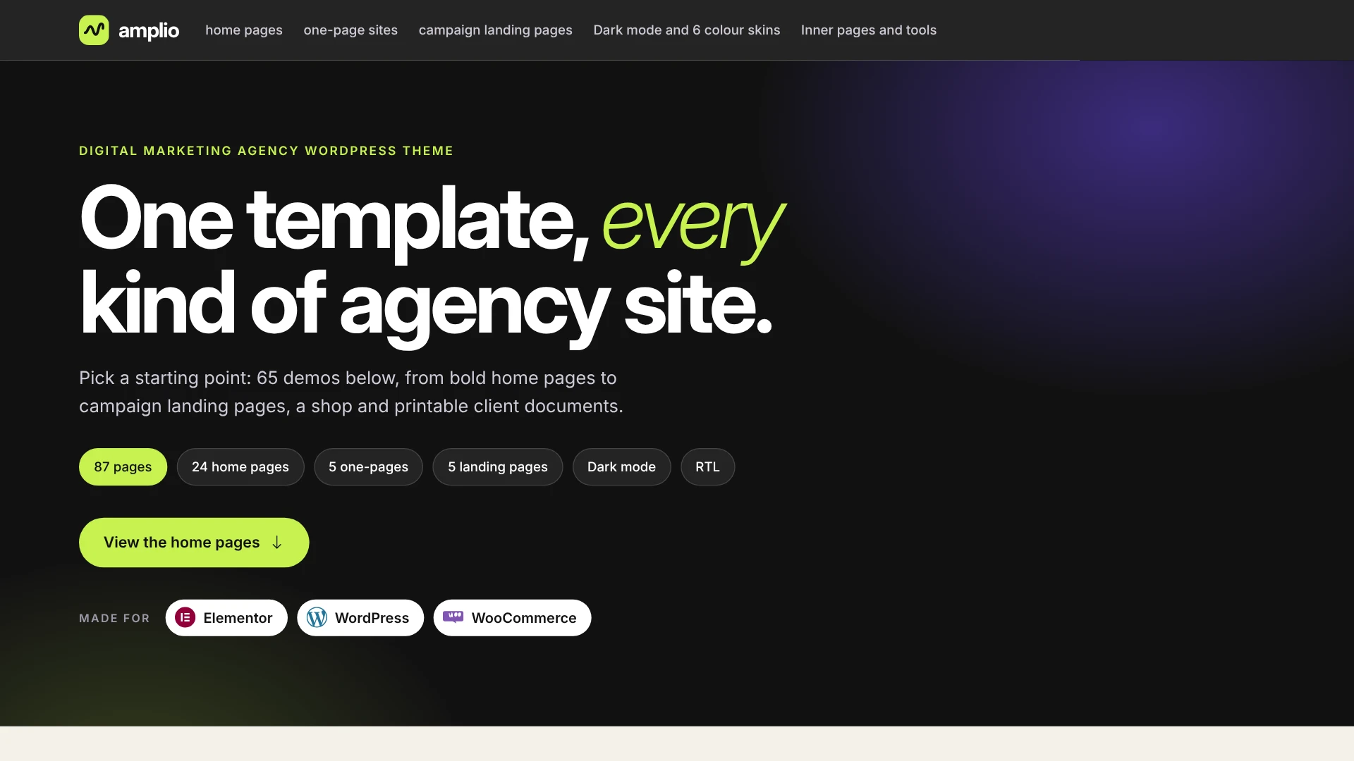 Amplio - Digital Marketing Agency WordPress Theme (Screenshot 13 of 66)