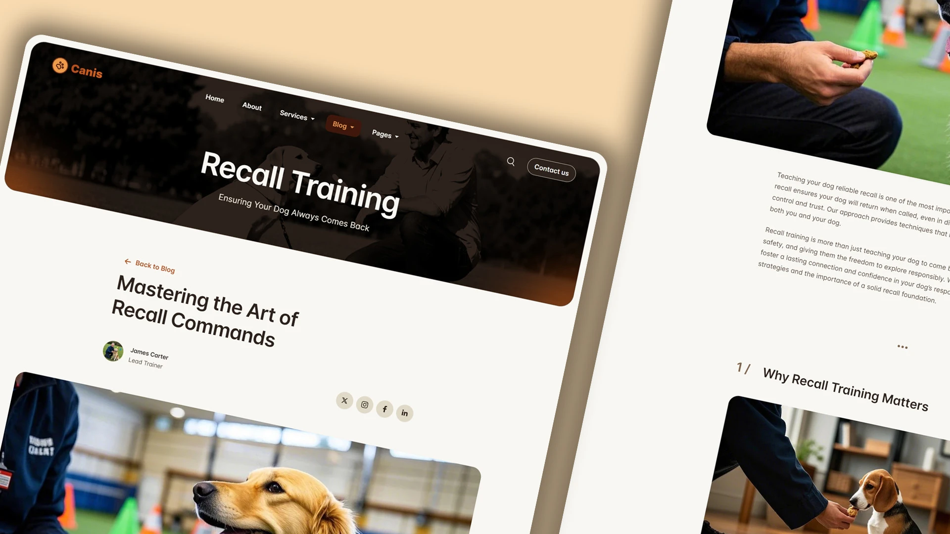 Canis - Professional Dog Training Services HTML Website Template