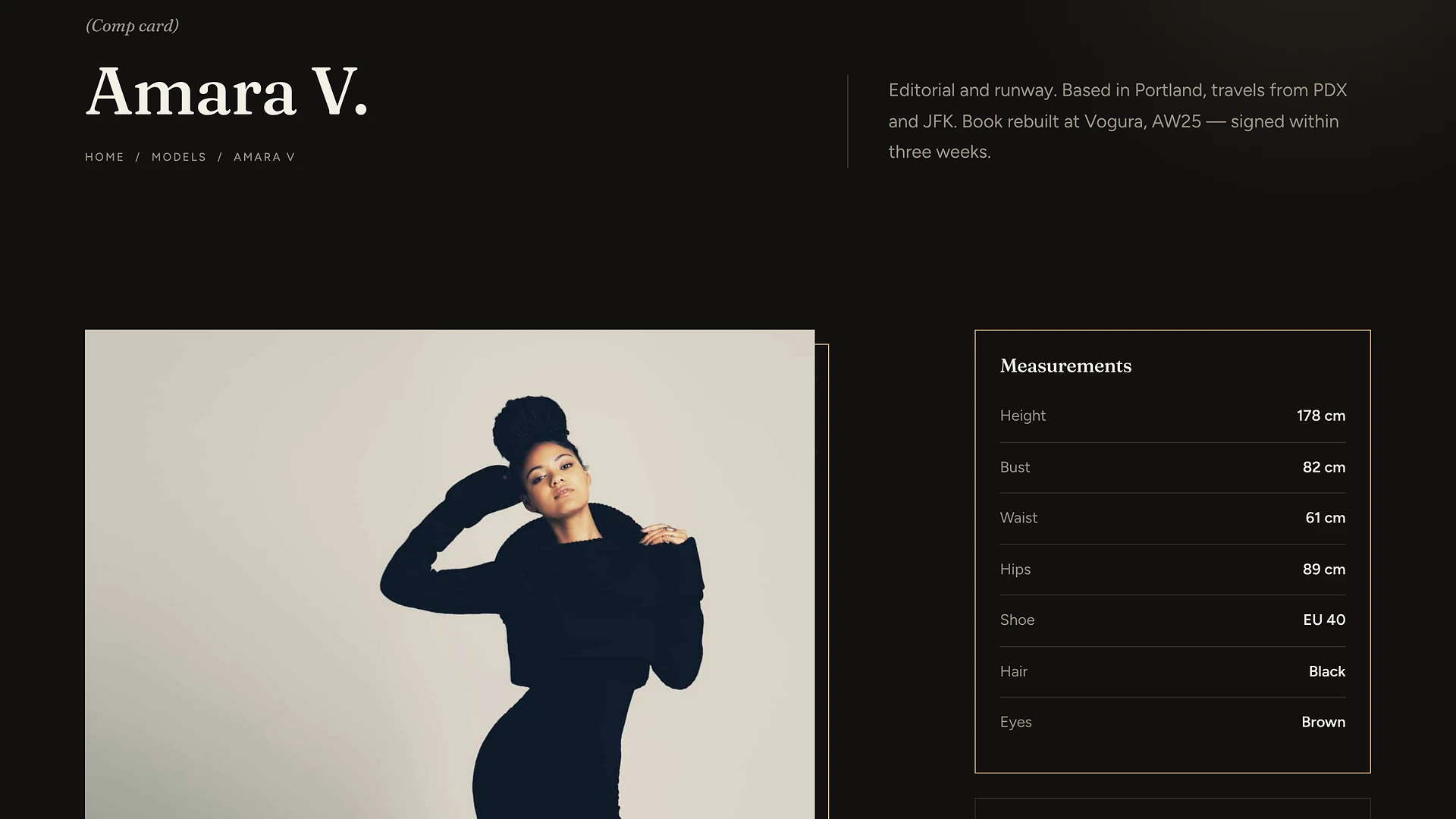 Vogura - Model Fashion & Styling HTML Template