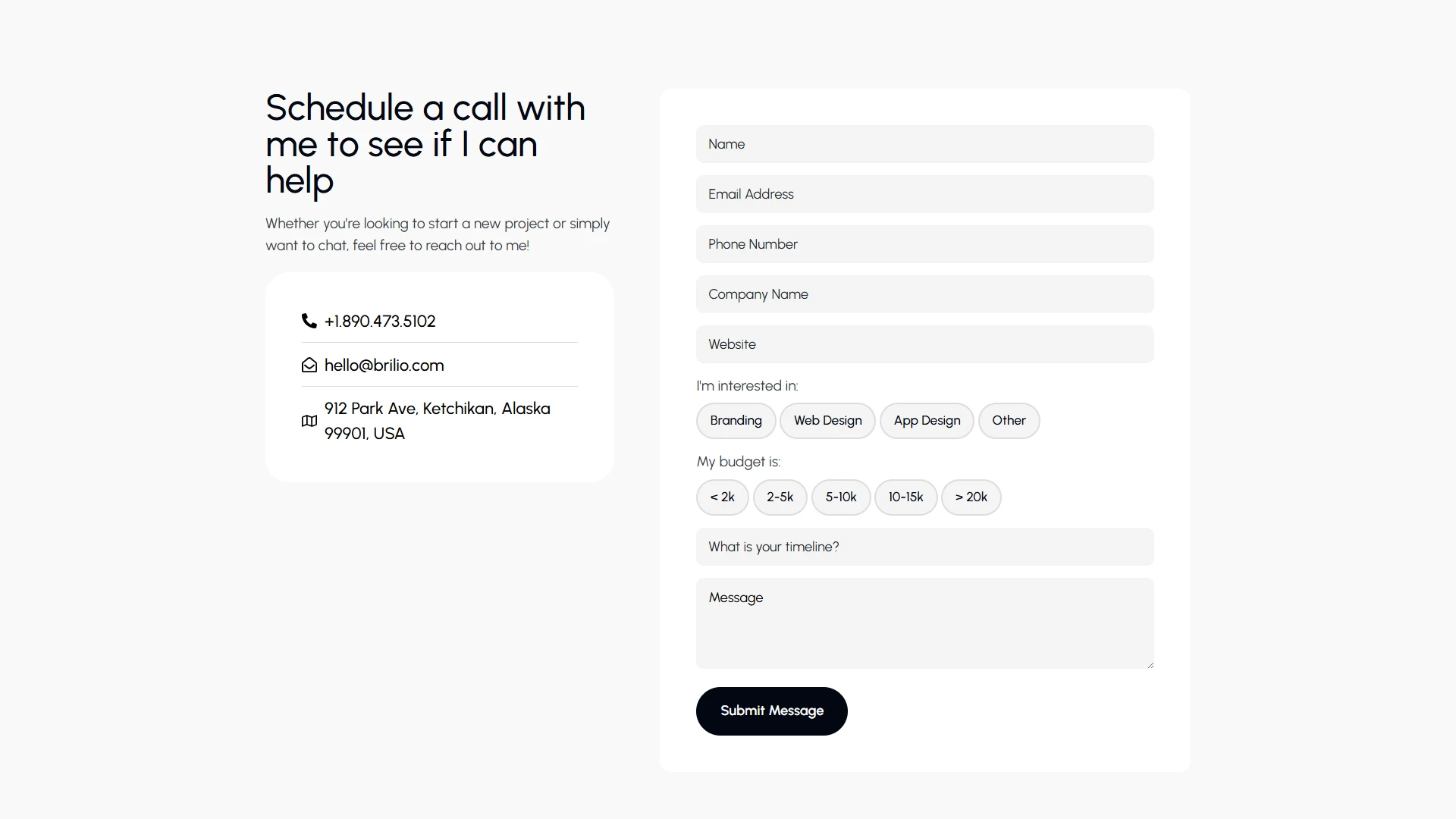 Brilio - Personal Portfolio WordPress Theme