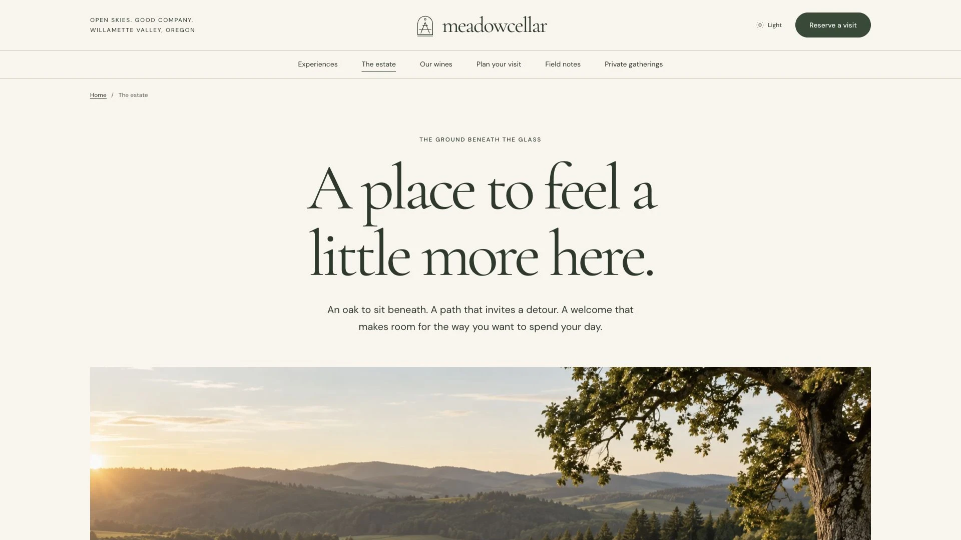 Meadowcellar - Vineyard Picnic & Wine Tasting HTML Template