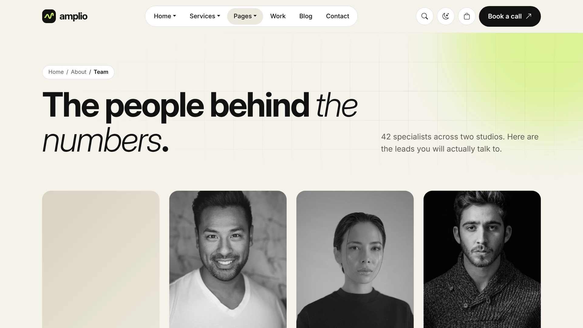 Amplio - Digital Marketing Agency WordPress Theme (Screenshot 46 of 66)