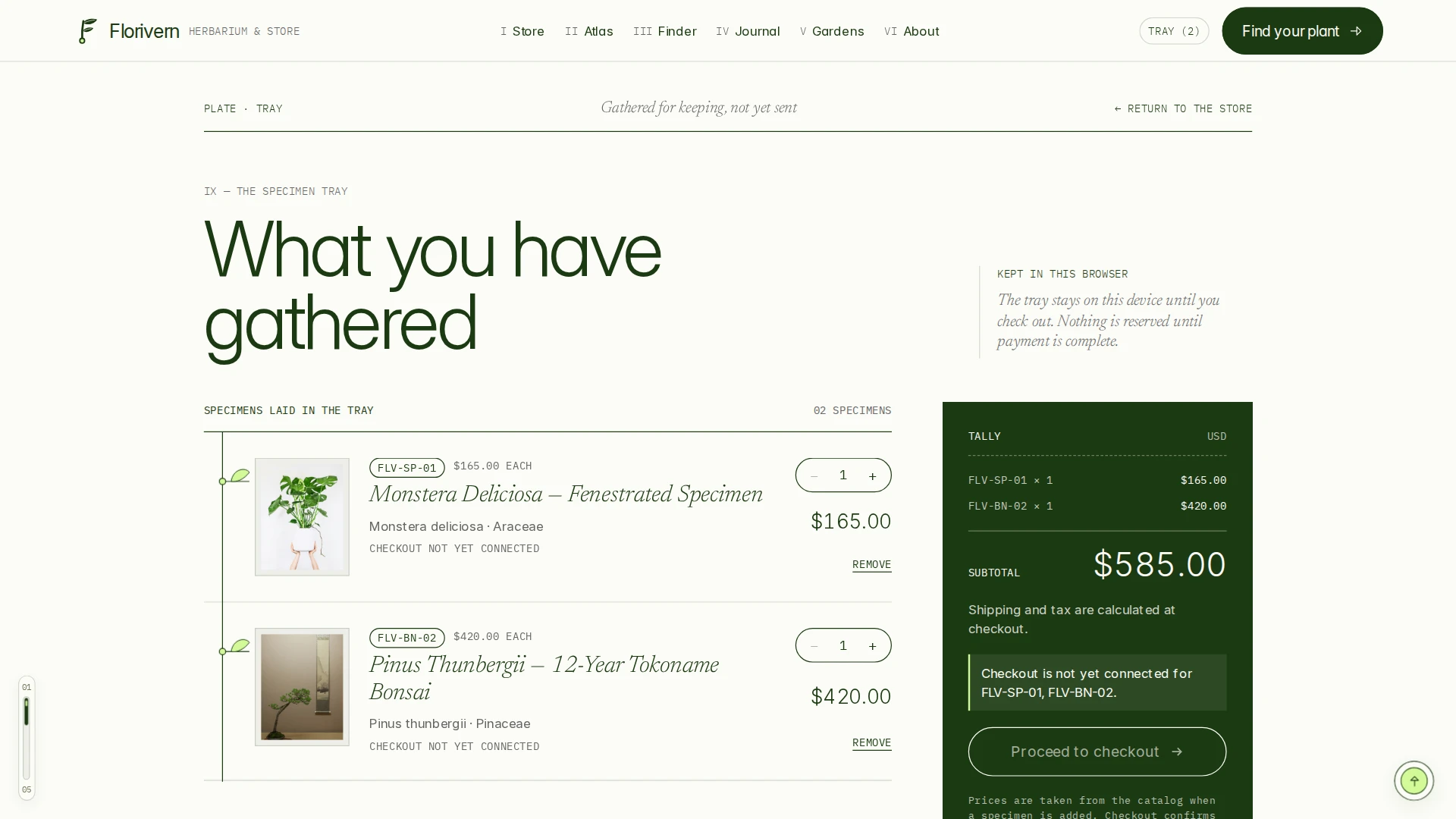 Florivern - Botanical Storefront, Plant Shop & Herbarium Framer Template (Screenshot 8 of 20)