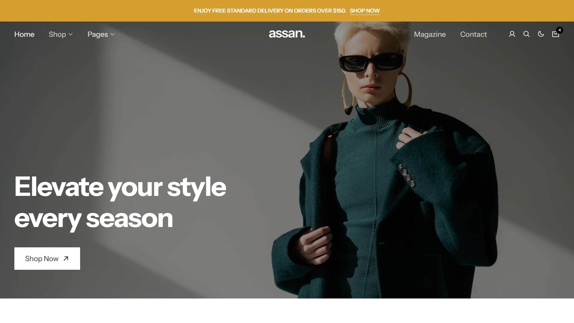 Assan - Multipurpose Template + Admin Template + UI Kit
