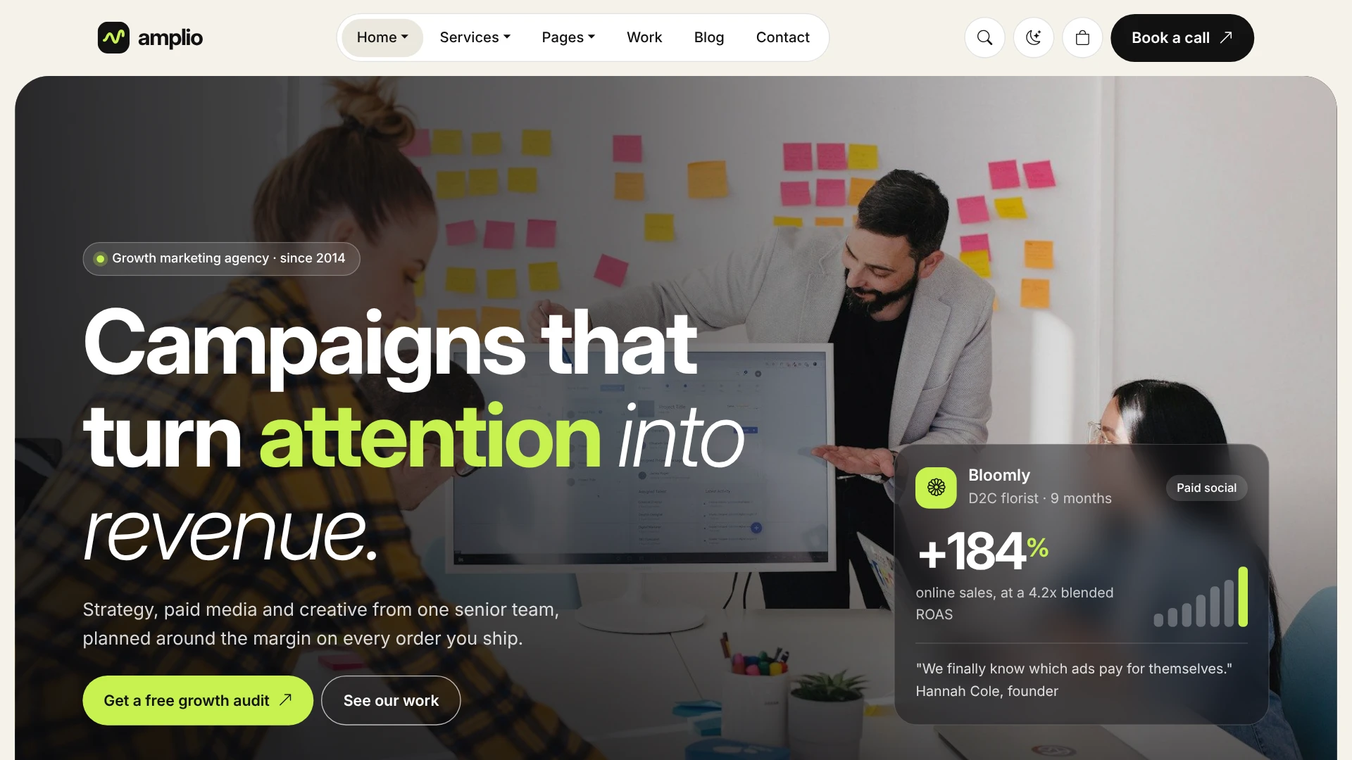 Amplio - Digital Marketing Agency WordPress Theme (Screenshot 19 of 66)