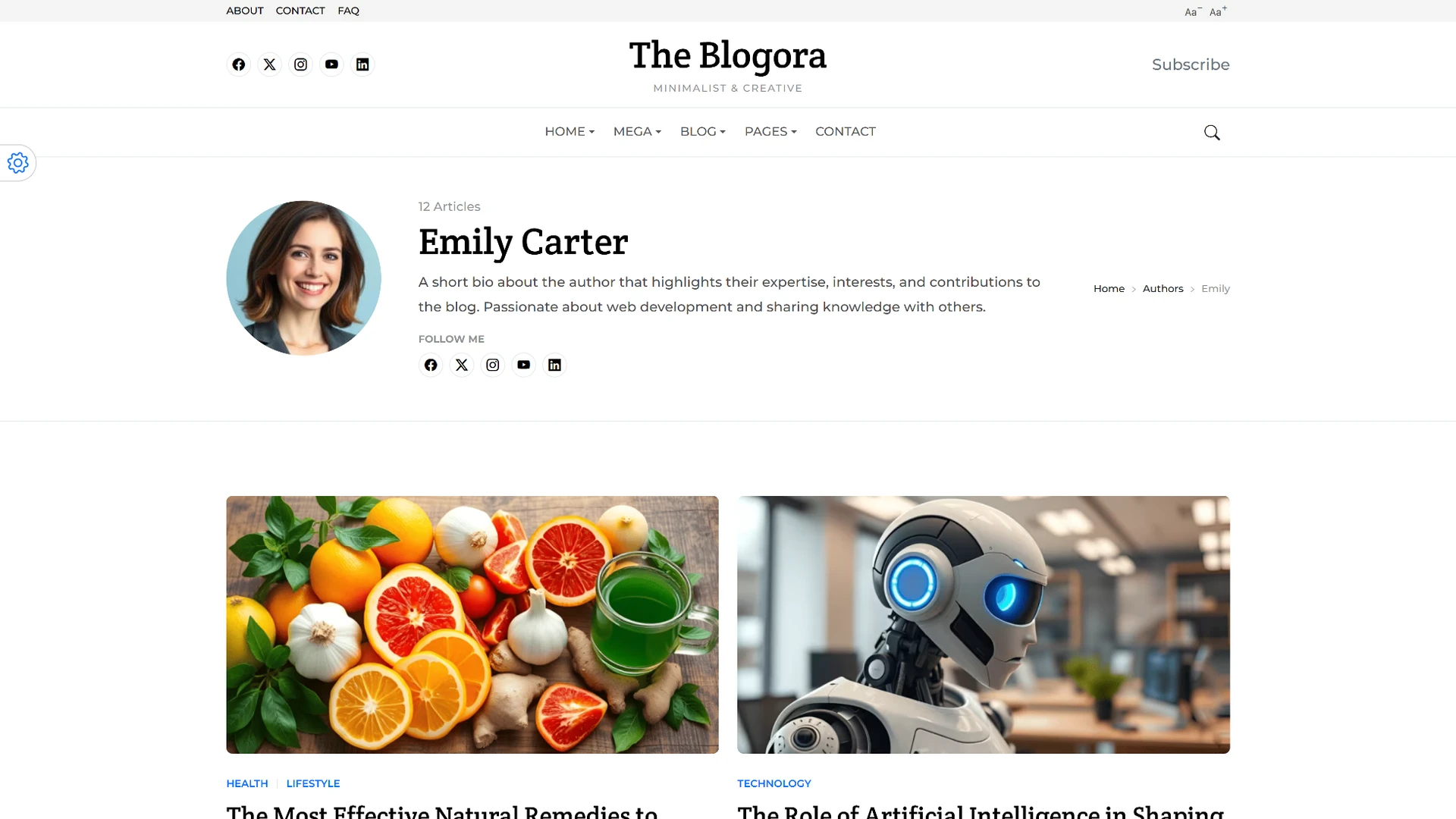 Blogora - Simple Personal Blog & Portfolio HTML Templates