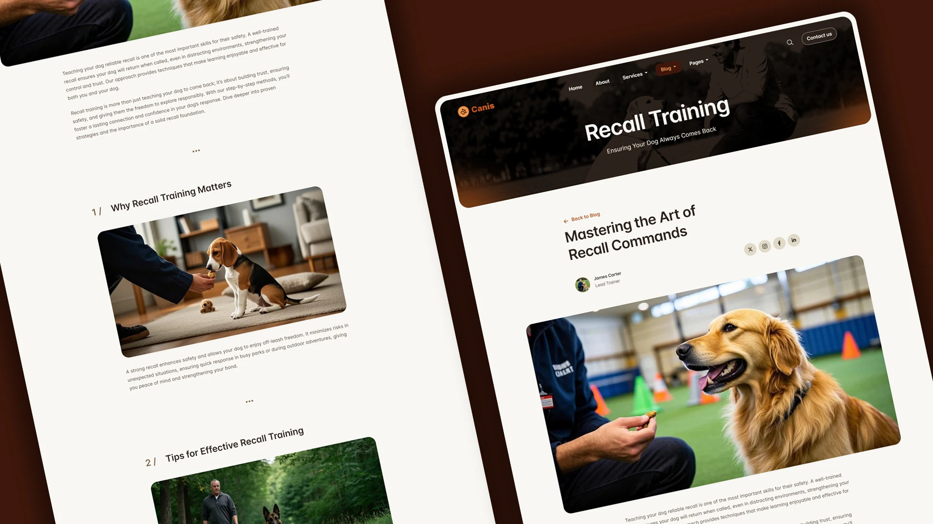 Canis - Professional Dog Training Services HTML Website Template