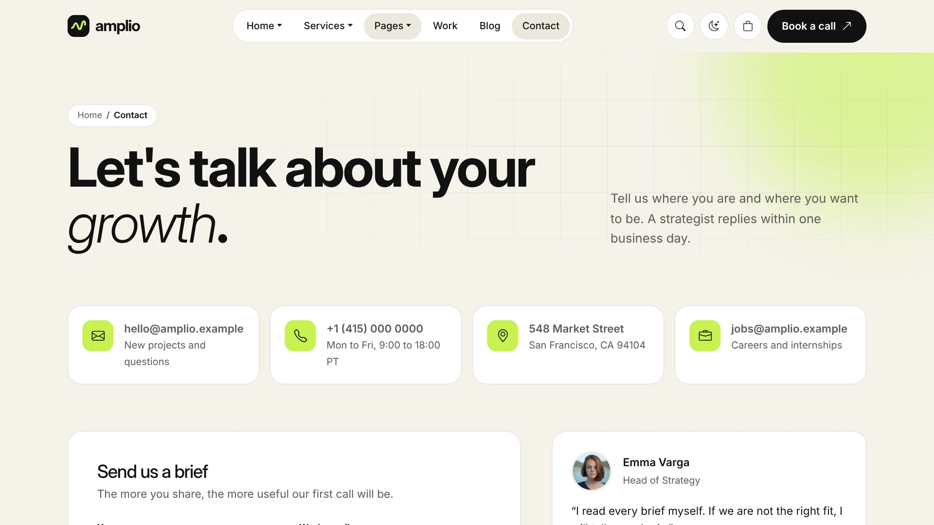 Amplio - Digital Marketing Agency WordPress Theme (Screenshot 63 of 66)