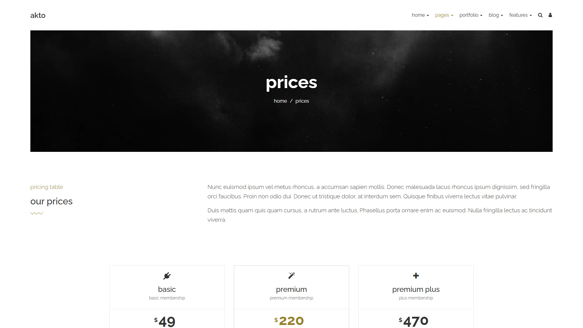 Akto - Multipurpose HTML Website Template