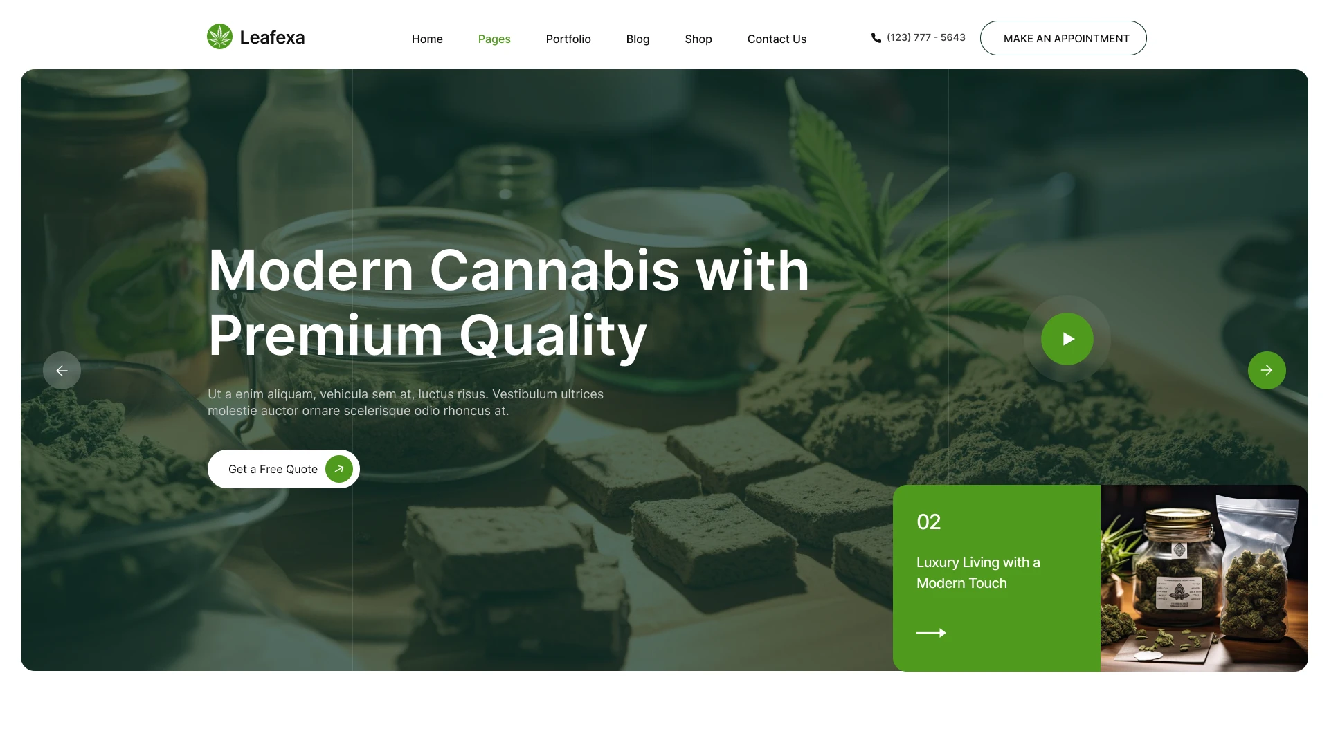 Leafexa - Cannabis & Marijuana Dispensary Figma Template (Screenshot 1 of 1)