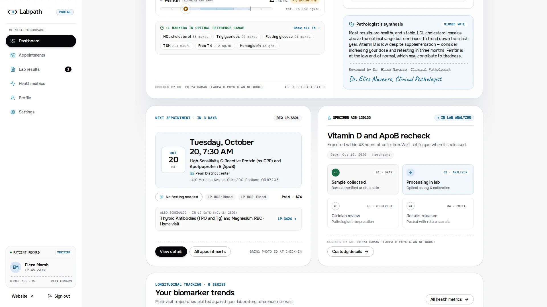 Labpath - Diagnostic Lab & Patient Portal Next.js Template (Screenshot 8 of 12)