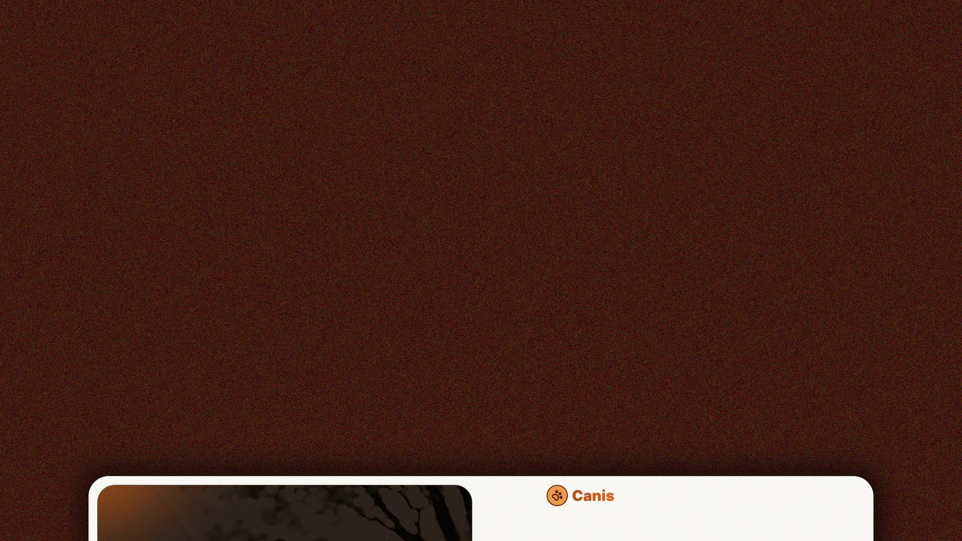 Canis - Professional Dog Training Services HTML Website Template