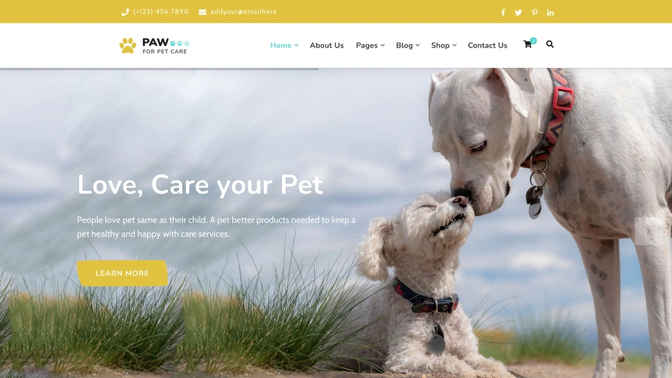 Paw - Pet Adoption Care and Shop Template