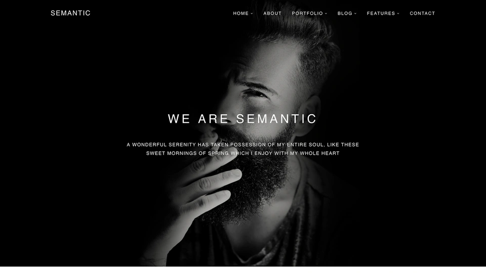 Semantic - Minimal Portfolio Template